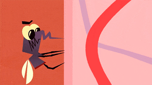 蚊子能传播新冠病毒吗？